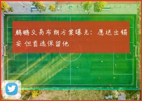 鹈鹕交易布朗方案曝光：愿送出锡安 但首选保留他